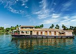Kerala Backwaters in Kochi — view 2