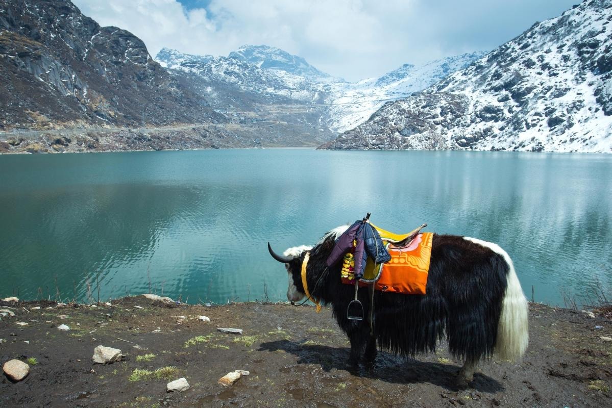 Gangtok — places to visit in Kolkata