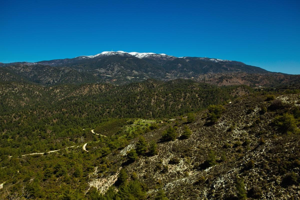 Mt. Olympus (Chionistra), Limassol