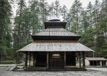 Hidimba Devi Temple (Dhungari Temple) in Manali — view 2