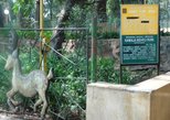 Kamala Nehru Park in Mumbai — view 2