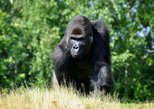 Boissière du Doré Zoo (Zoo de la Boissière du Doré) in Nantes — view 2