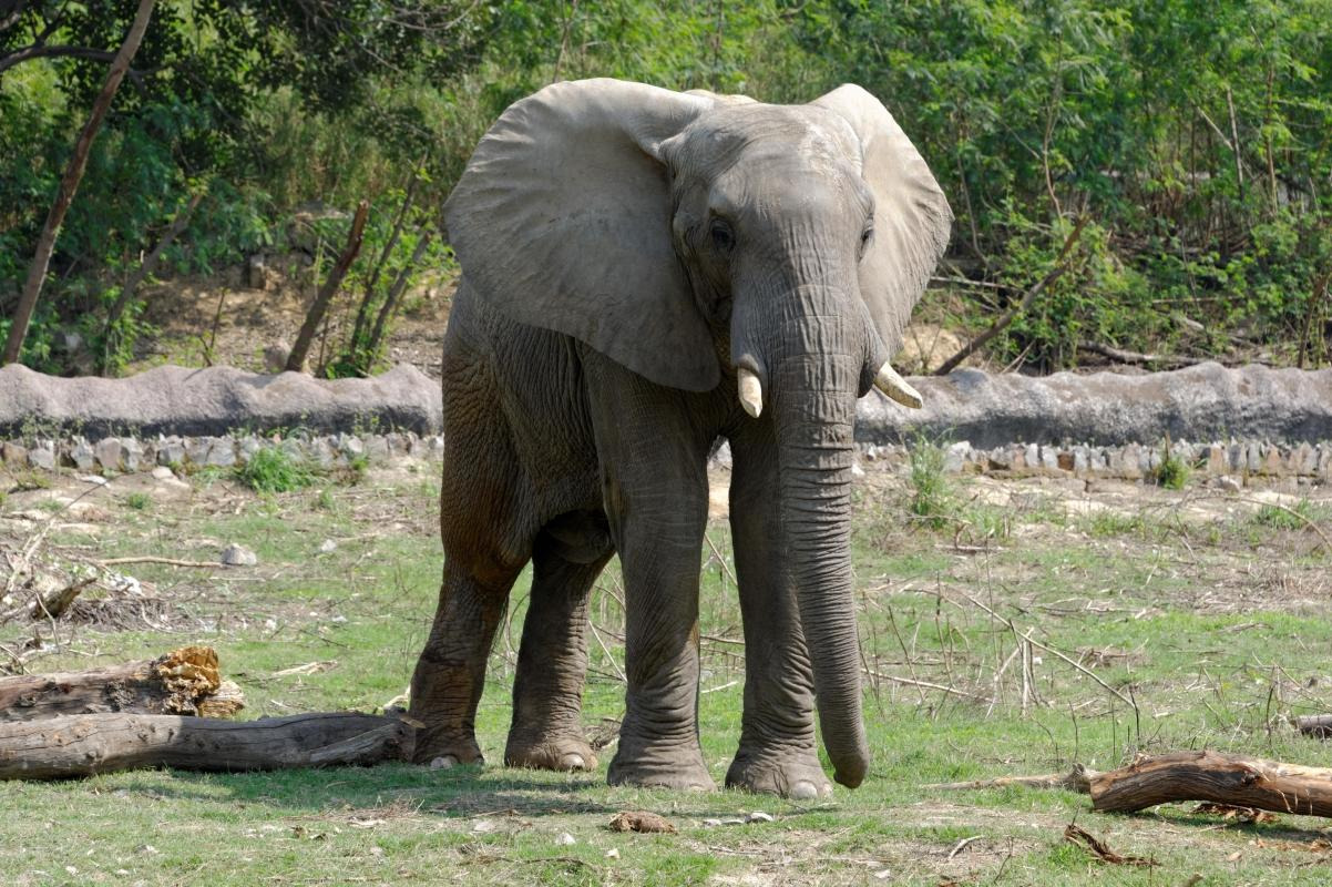 National Zoological Park of Delhi — places to visit in New Delhi