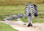 Kragga Kamma Game Park in Port Elizabeth — view 2
