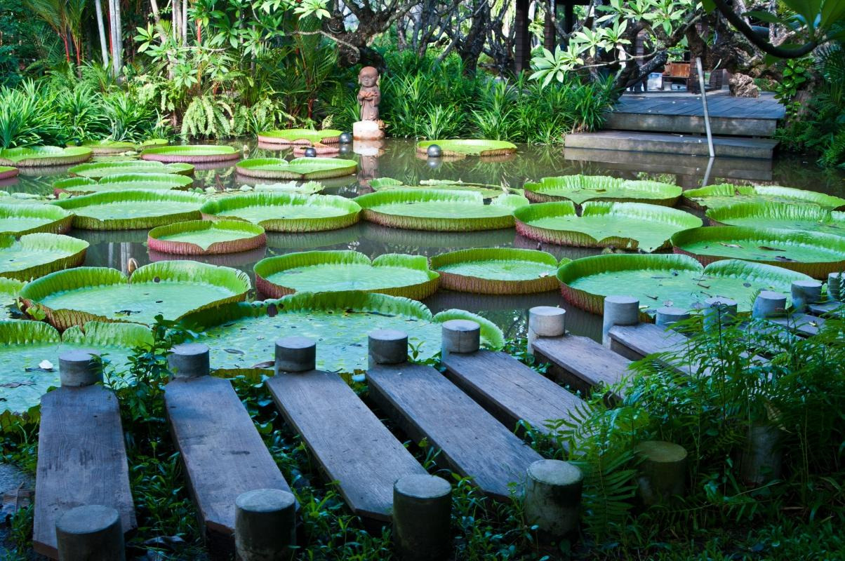 places in Port Louis