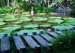 Sir Seewoosagur Ramgoolam Botanical Garden in Port Louis — view 2