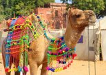 Pushkar in Pushkar — view 2