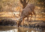 Ranthambore National Park in Ranthambore National Park — view 2
