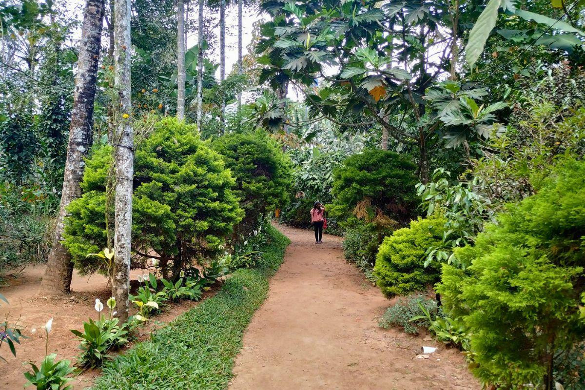 Green Park Ayurvedic and Spices Plantation — places to visit in Thekkady
