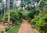 Green Park Ayurvedic and Spices Plantation in Thekkady — view 2