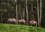 Periyar National Park in Thekkady — view 2
