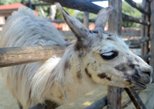 Varna Zoo (Zoopark) in Varna — view 2