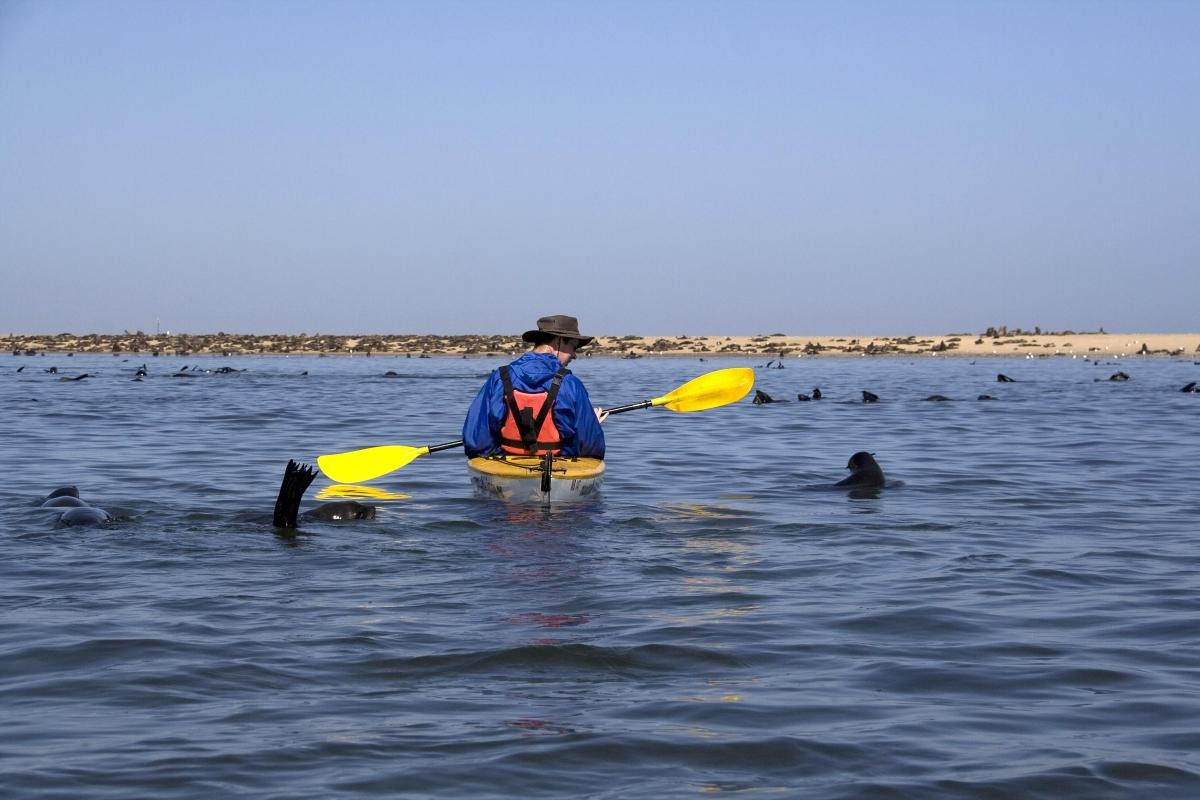 Pelican Point, Walvis Bay