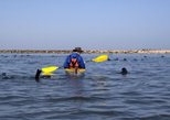 Pelican Point in Walvis Bay — view 2