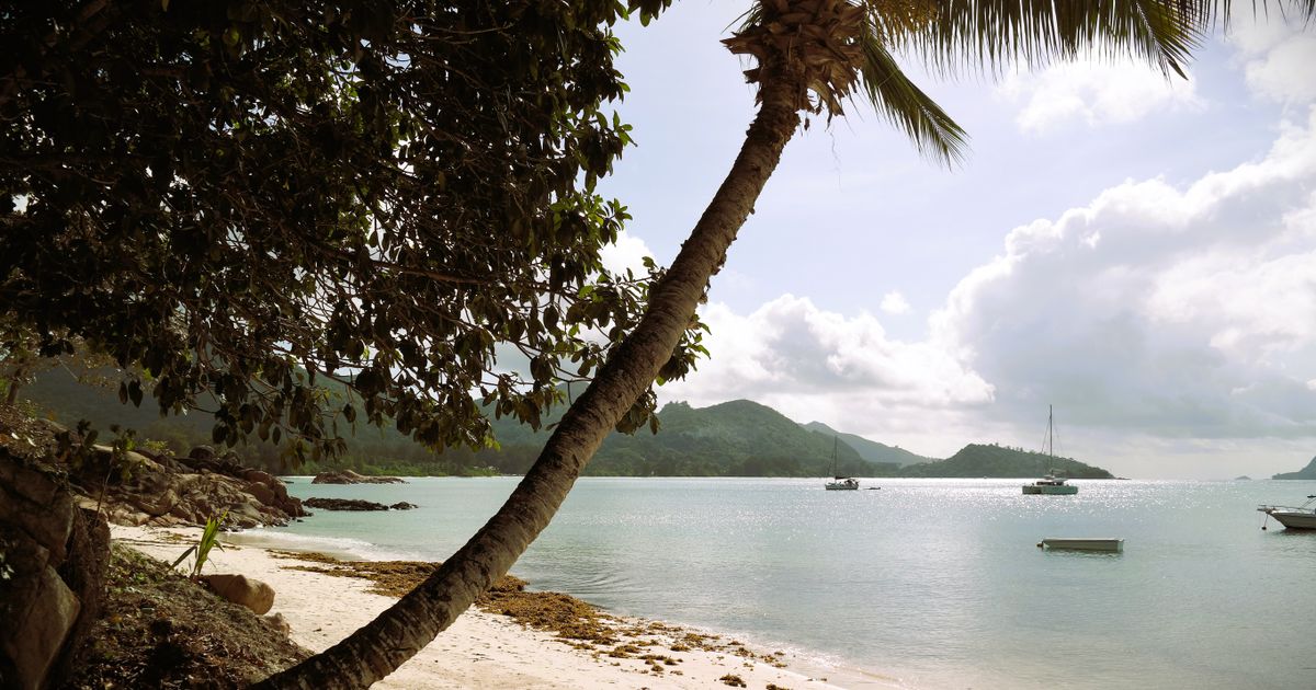 Grand Seychelles — photo 3