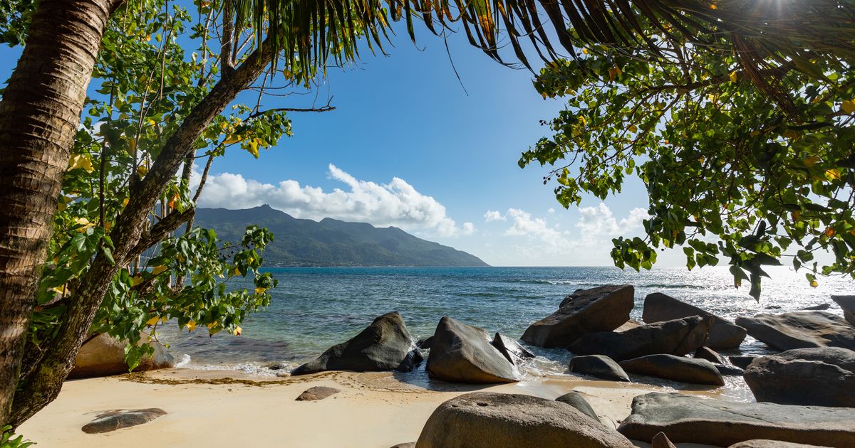 Majestic Seychelles — photo 5