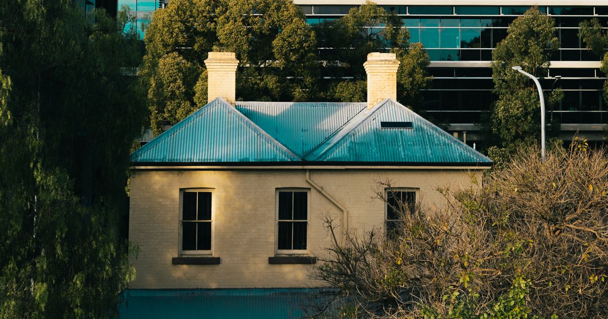 Adelaide City Experience — photo 5