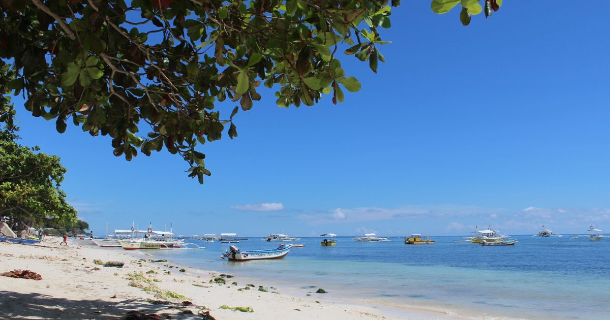 Bohol Tropical Escape — photo 4