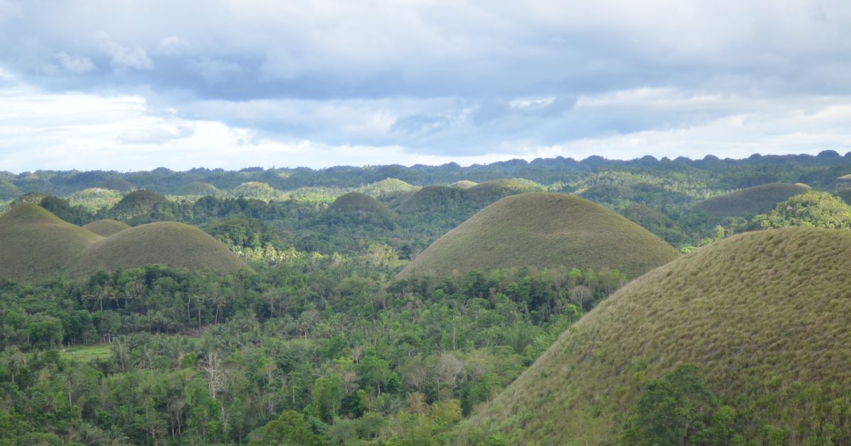 Bohol Tropical Escape — photo 5