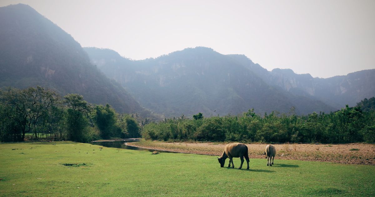 Vang Vieng Retreat — photo 5