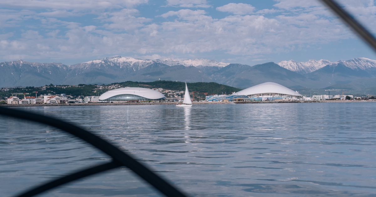 Sochi Retreat — photo 5