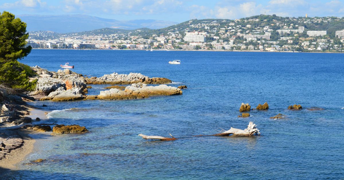 Antibes Mediterranean Escape — photo 5