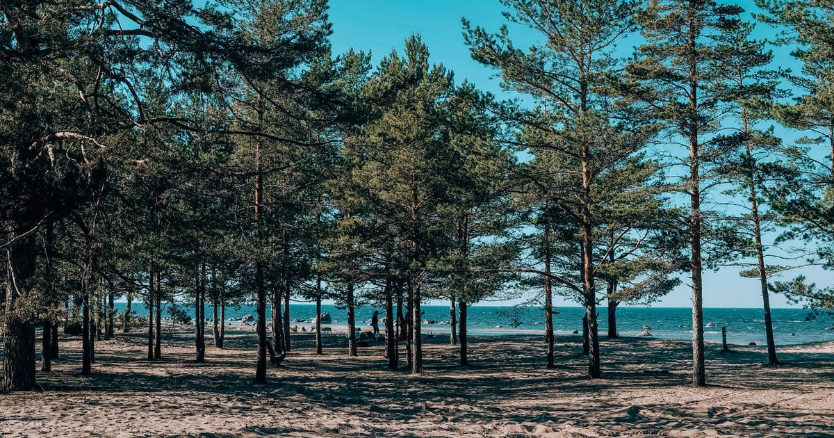 Jurmala Retreat — photo 5