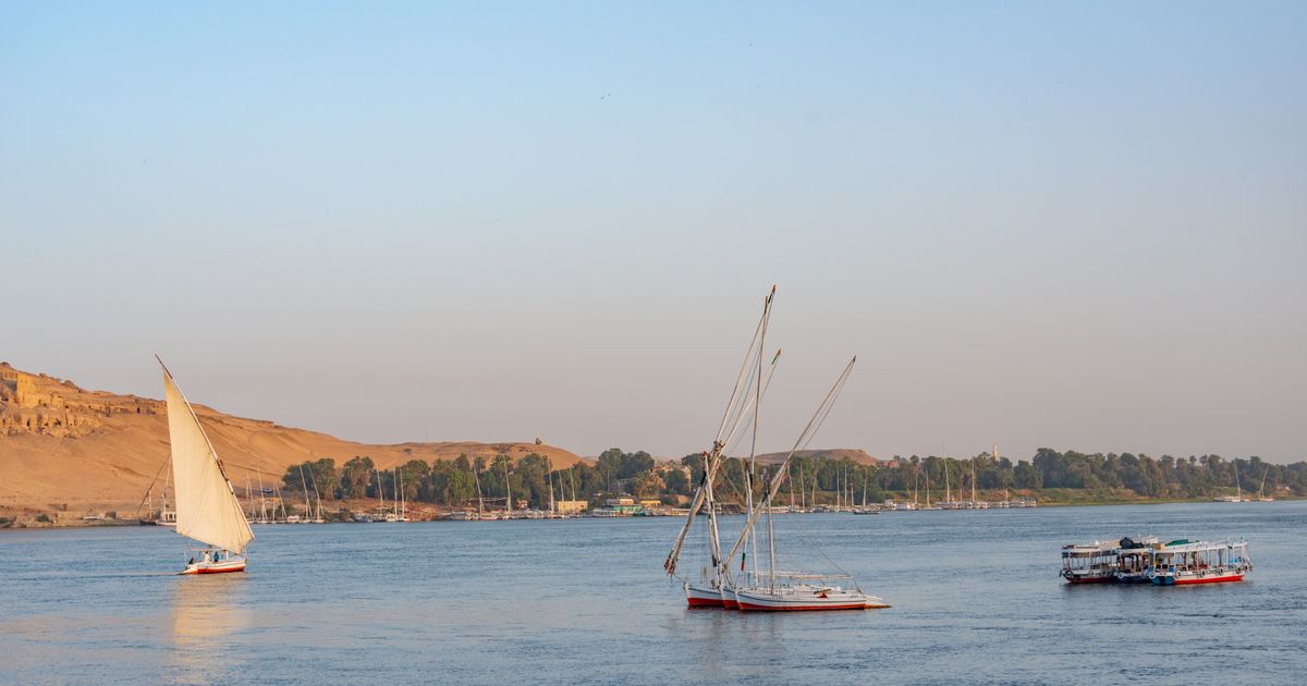 Aswan Nile Discovery — photo 5