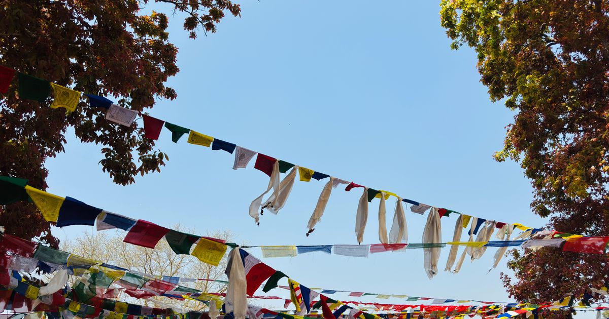 Lumbini Retreat — photo 4
