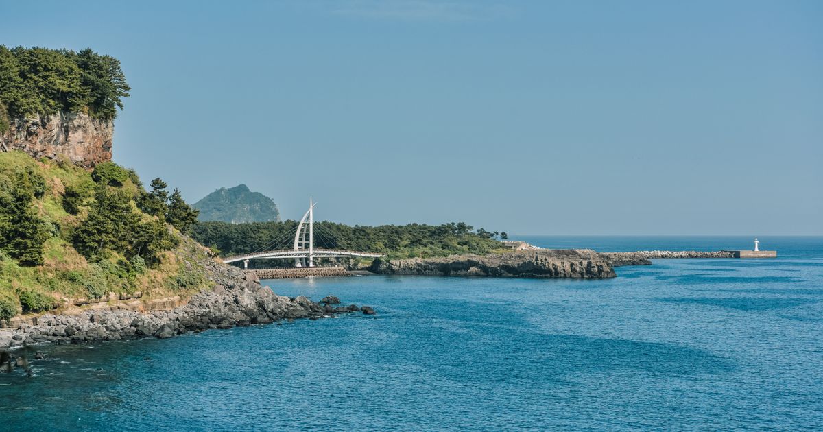 Jeju Island Retreat — photo 4