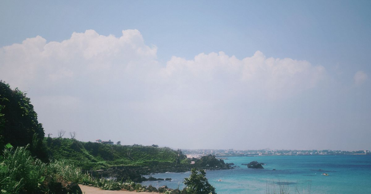 Jeju Island Retreat — photo 5