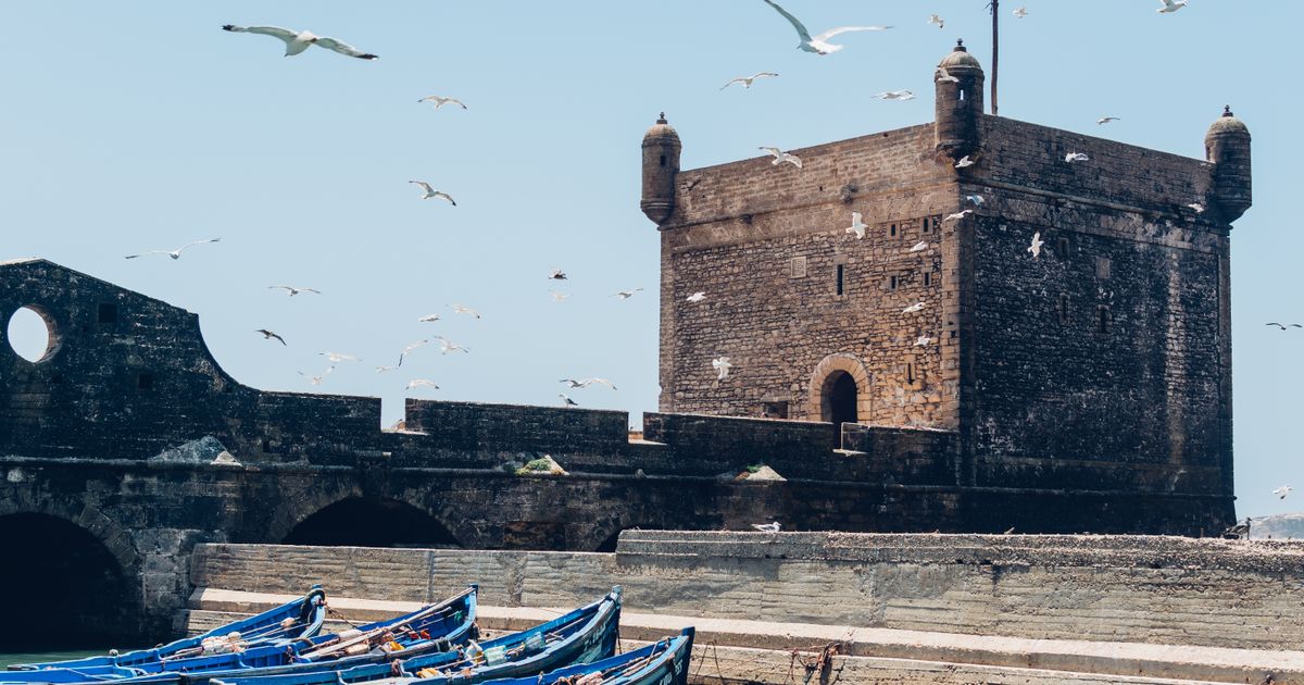 Essaouira Retreat — photo 5