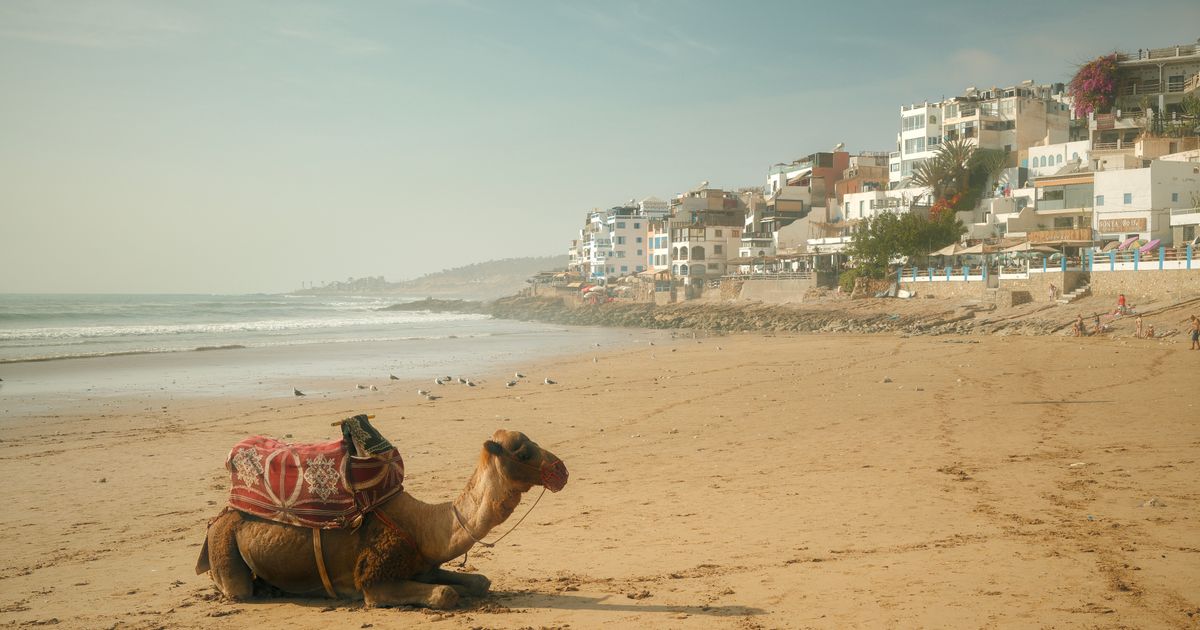 Agadir Sand Safari — photo 5