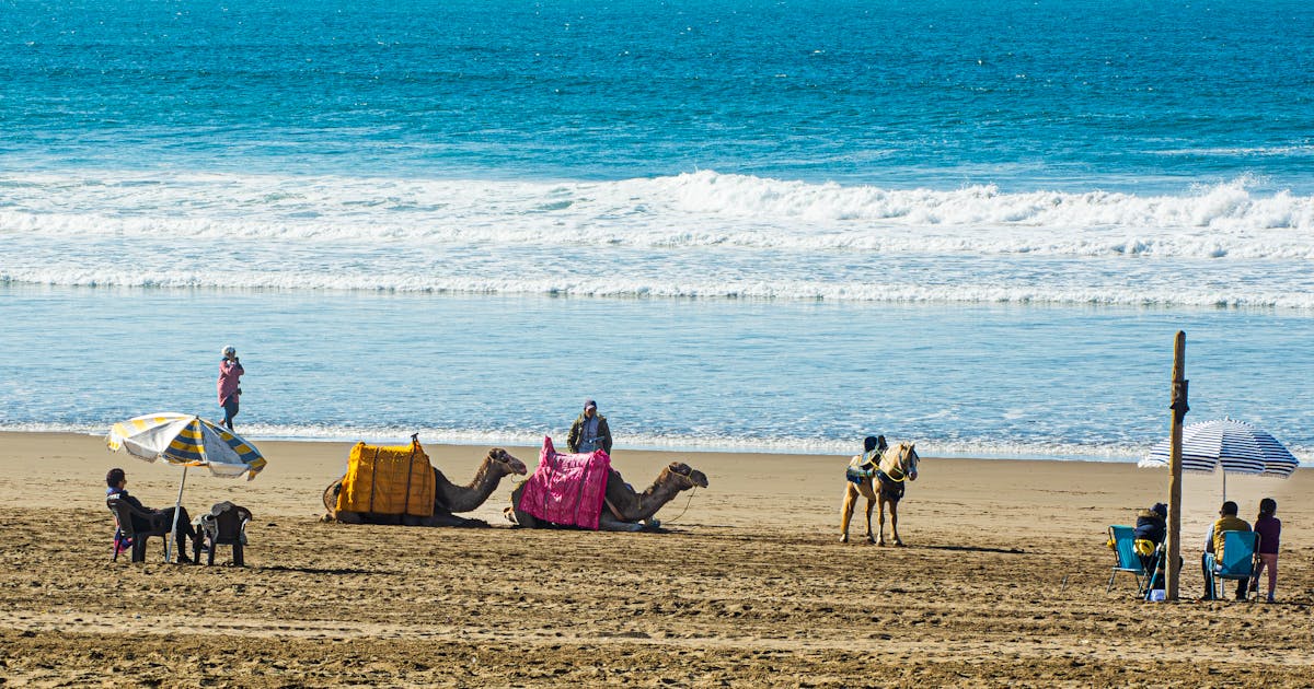 Agadir Package From Toronto