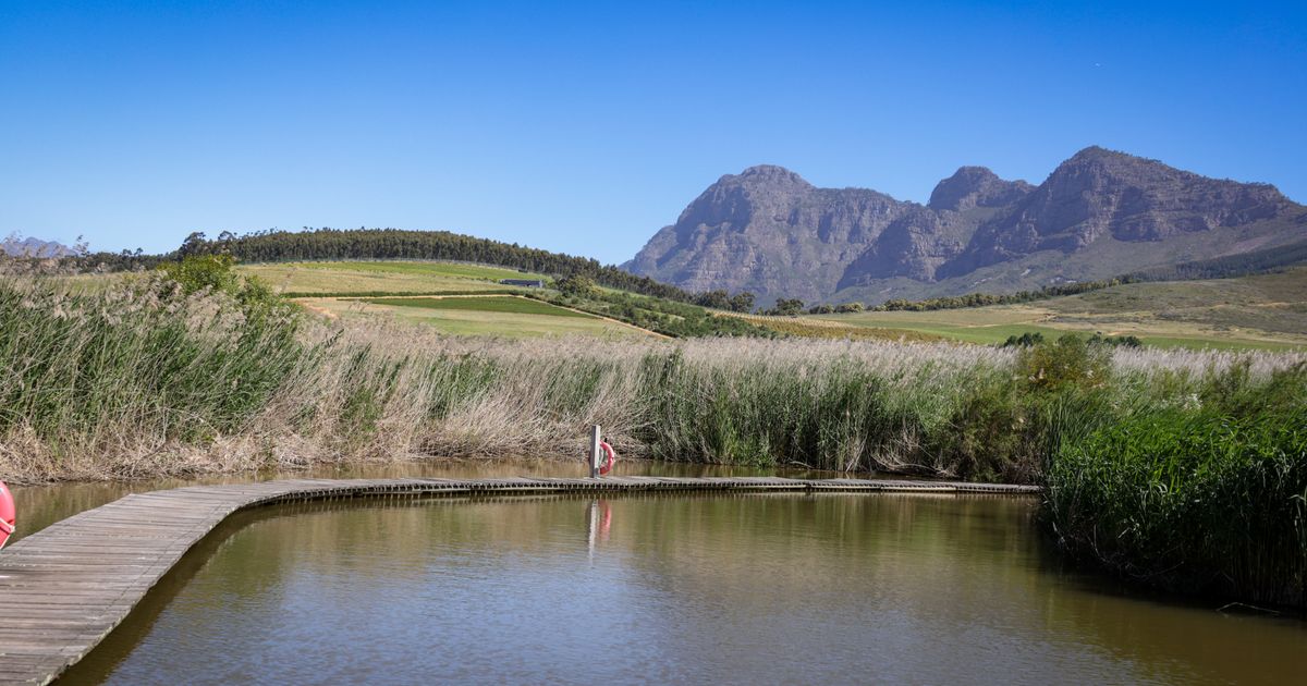 Stellenbosch Retreat — photo 5