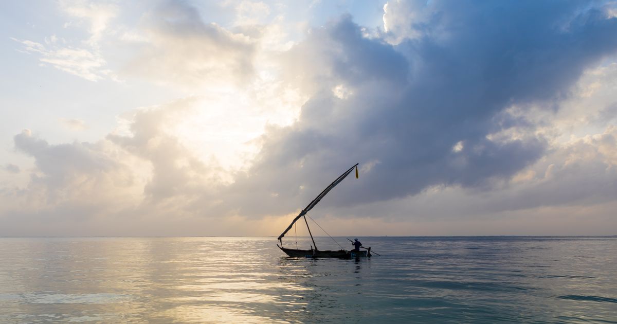 Mombasa Retreat — photo 5
