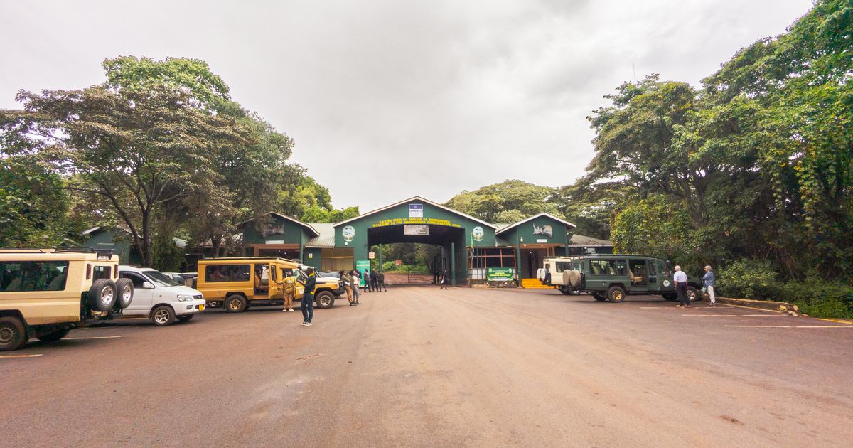 Arusha Wildlife Tour — photo 4