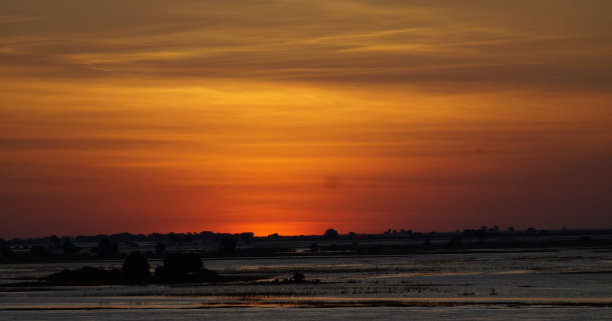Maun Trip From Jeddah