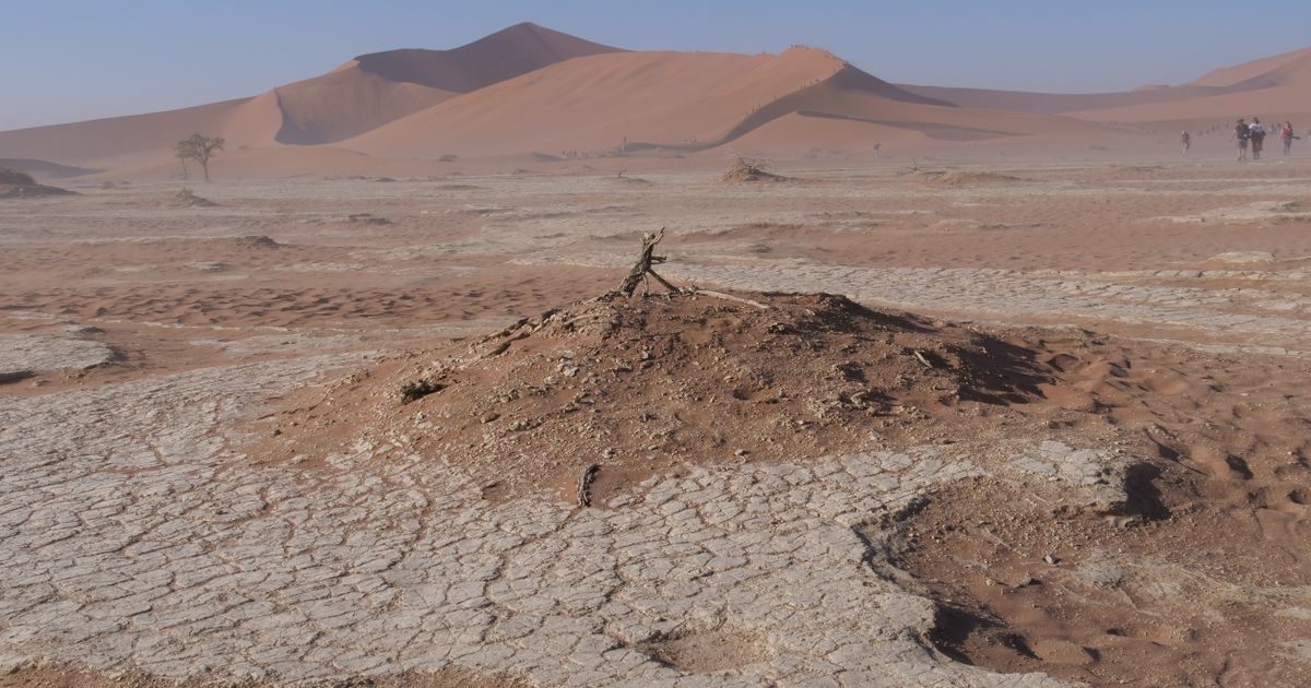 Sossusvlei Retreat — photo 4