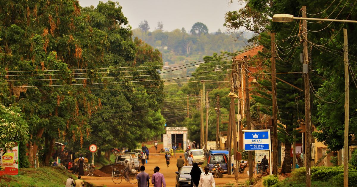 Entebbe Nature Getaway — photo 5