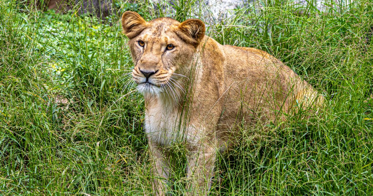 Queen Elizabeth National Park Retreat — photo 5
