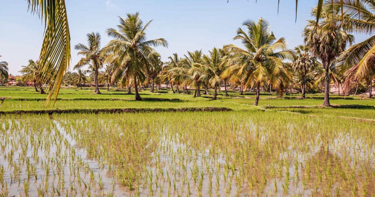Morondava Retreat — photo 5