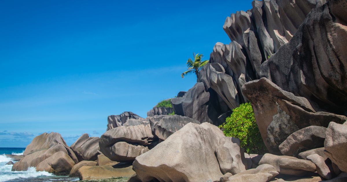 Anse Royale Tropical Escape — photo 5