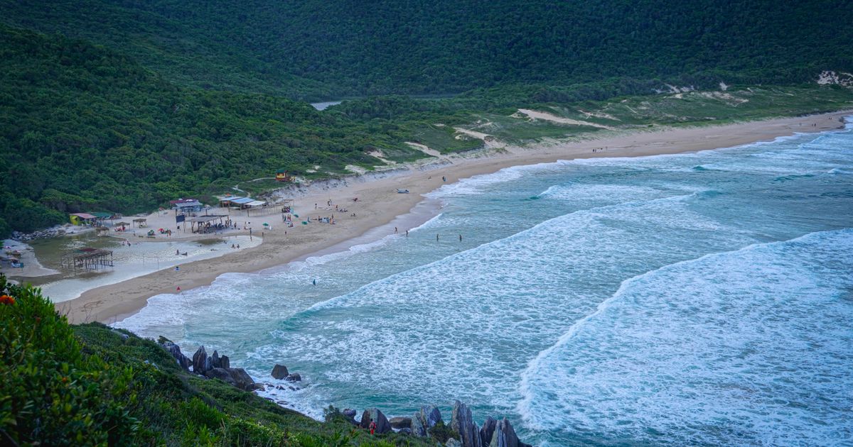 Florianopolis Retreat — photo 4