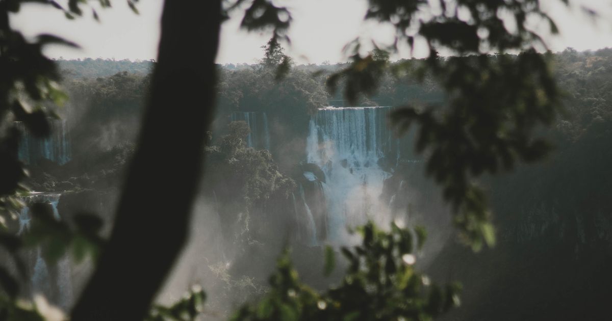 Foz do Iguacu Retreat — photo 4