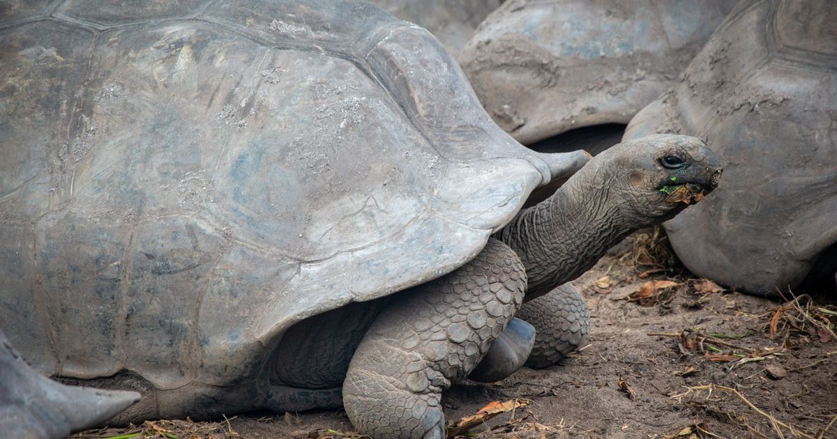 Galapagos Islands Nature Experience — photo 5