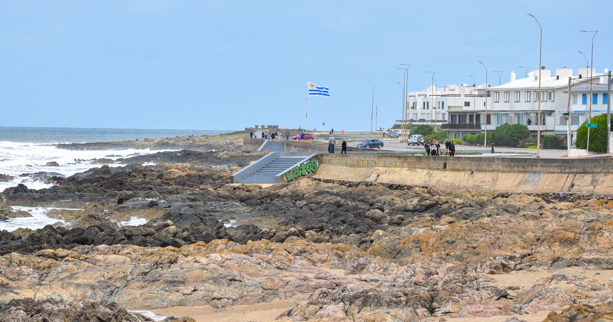 Jose Ignacio Retreat — photo 5