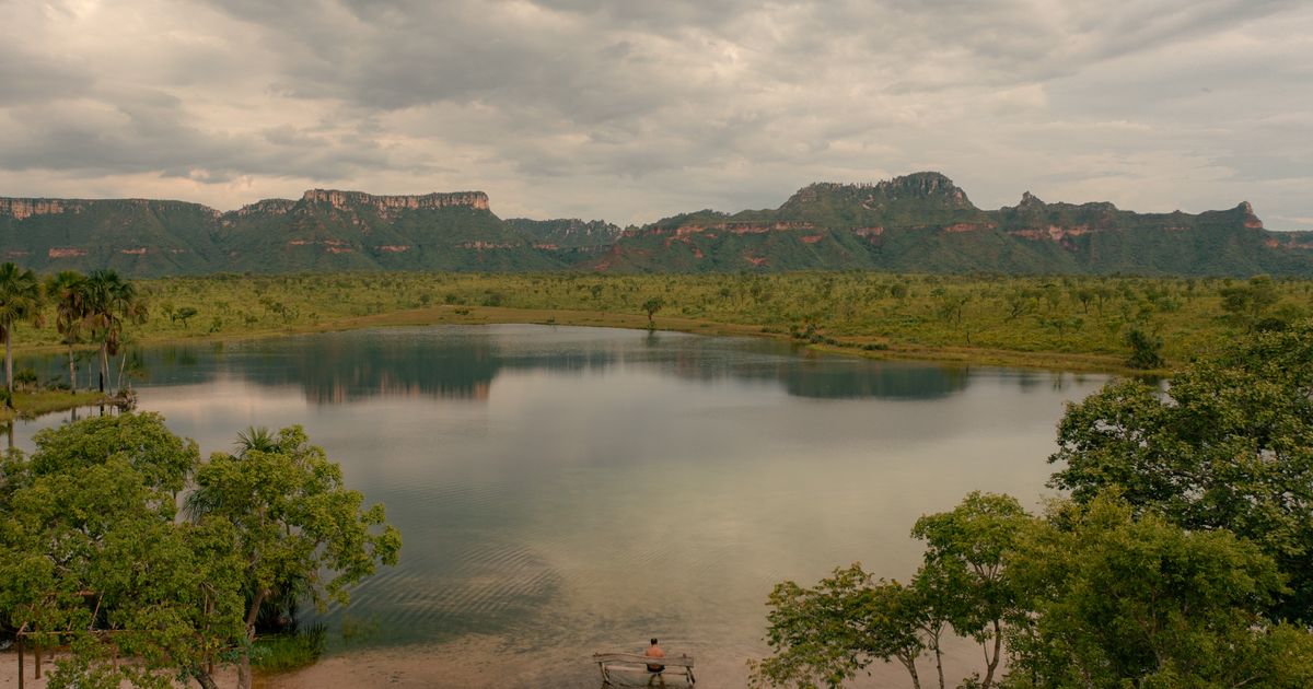 Canaima National Park Scenic Tour — photo 5
