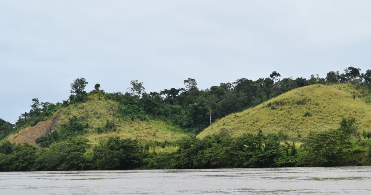 Iwokrama Escape — photo 5