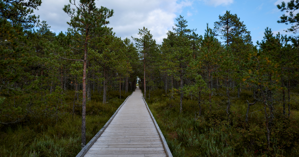 Raleighvallen Nature Reserve Retreat — photo 5